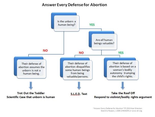 abortion-flowchart